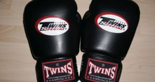 Twins Boxhandschuhe