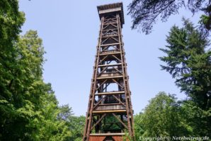 Goetheturm von hinten